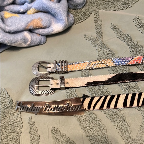 Harley-Davidson Zebra and Silver Belt - Picture 1 of 4